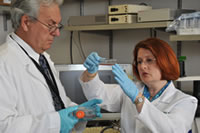 NSU’s College of Pharmacy professors Jean Latimer, Ph.D., (right) and Stephen Grant, Ph.D., (left) examine breast cancer cells in their laboratory.