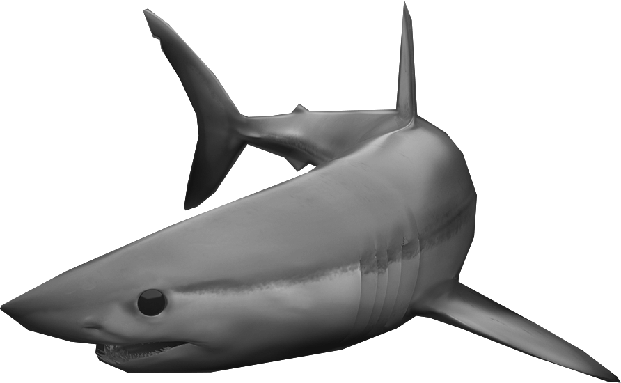 mako shark