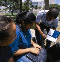 Students searching NSU scholarship application