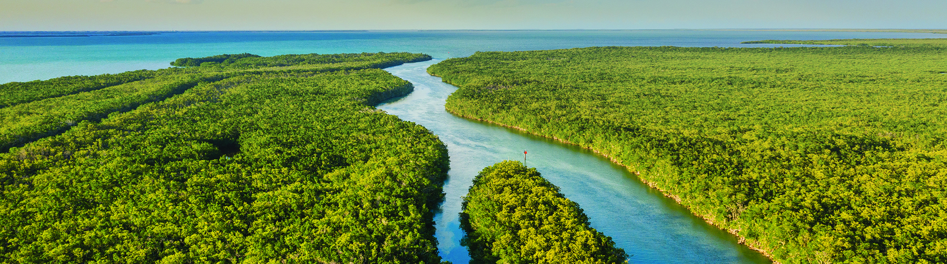 aerial view of the Florida Everglades