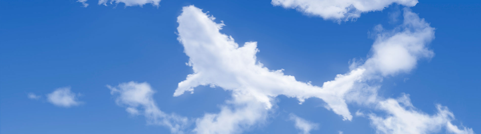 cloud shark