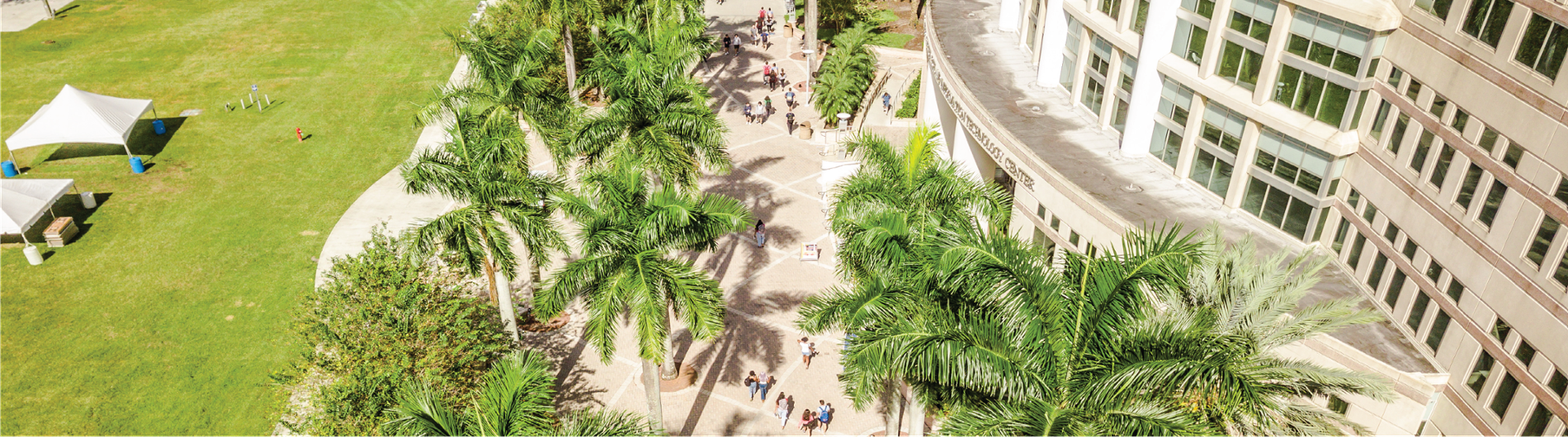 aerial view of the Alvin Sherman Library