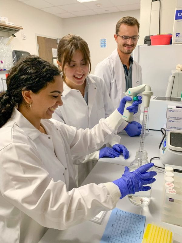 students studying in lab