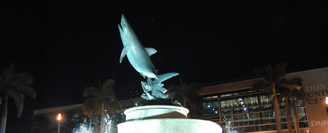 Shark Fountain in front of the Don Taft University Center.