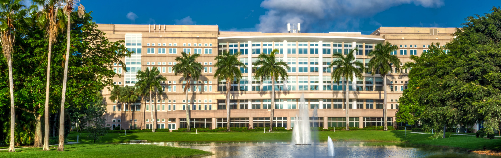 NSU library with lake view