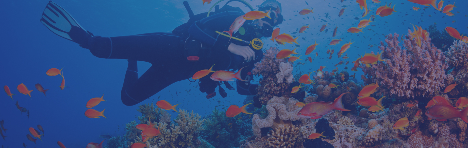 Nova Southeastern University