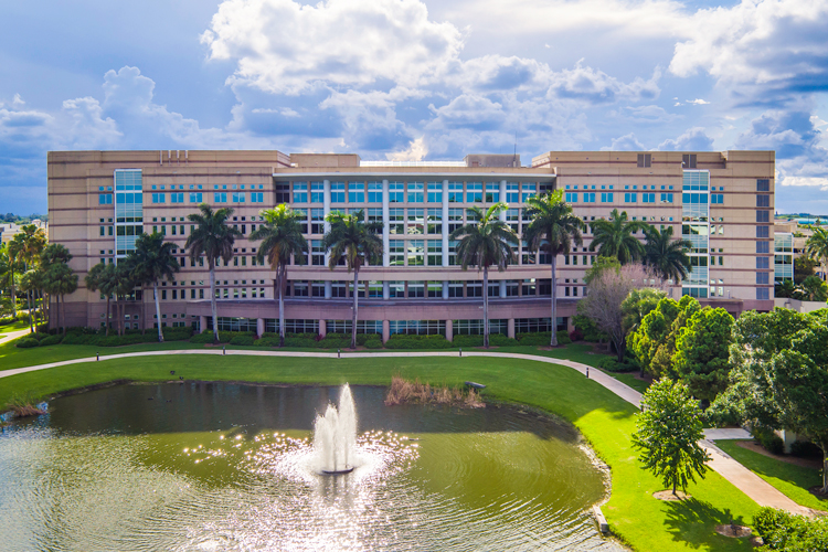 Library with lake drone view