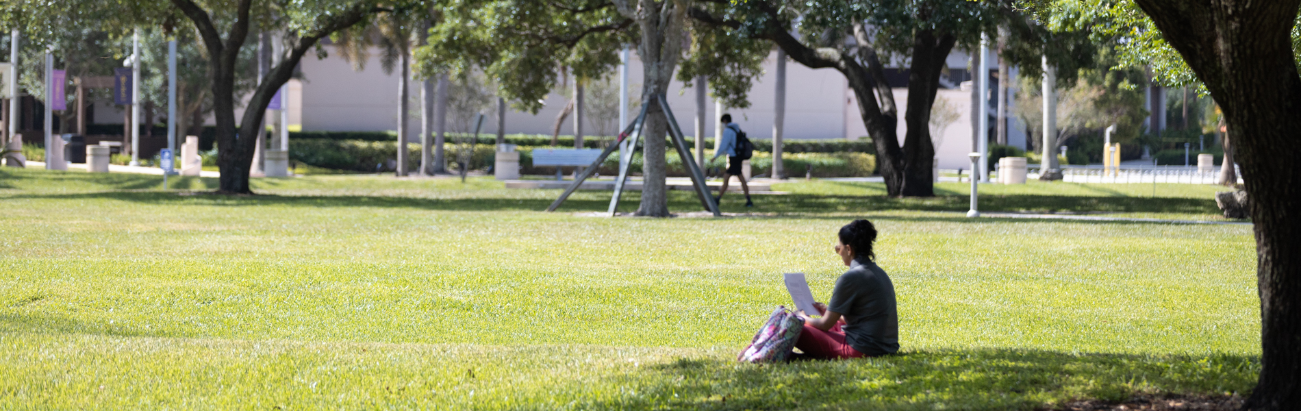 Student on NSU campus outdoors reading papers under the tree shade
