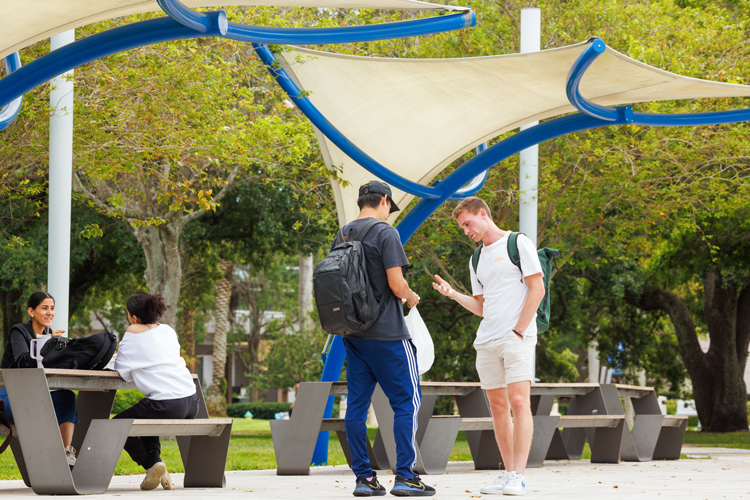 NSU students having a conversation