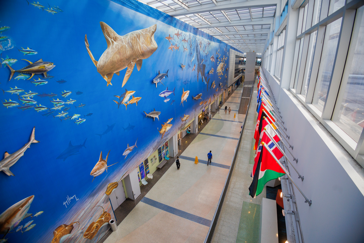 Indoor NSU main campus hallway with murals