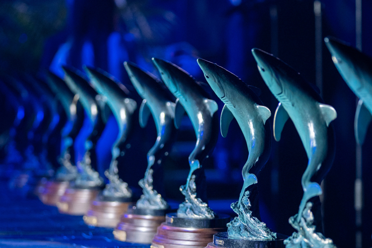 Celebration of excellence 2024 awards