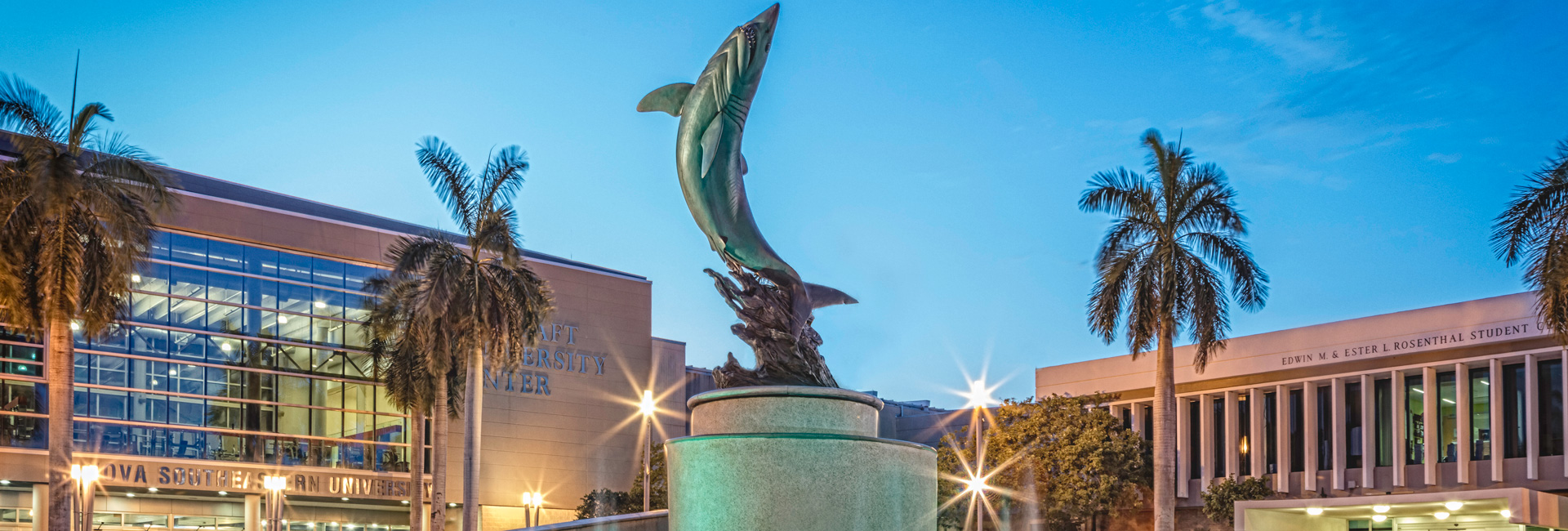 Shark fountain night view