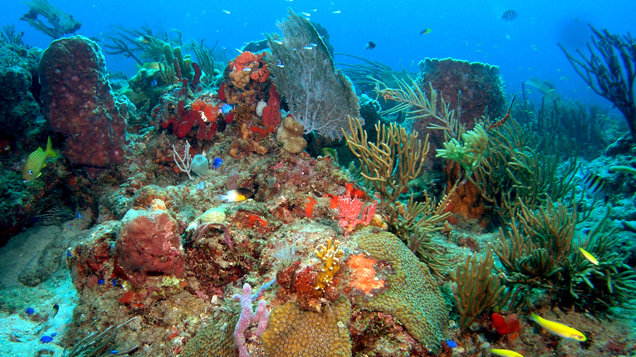 Deep Sea Biology Laboratory