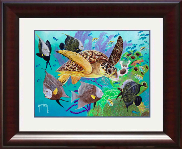 NSU researchers in a boat on the ocean observing a shark