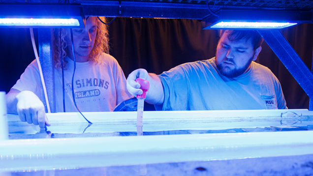 Marine Larval Ecology Laboratory