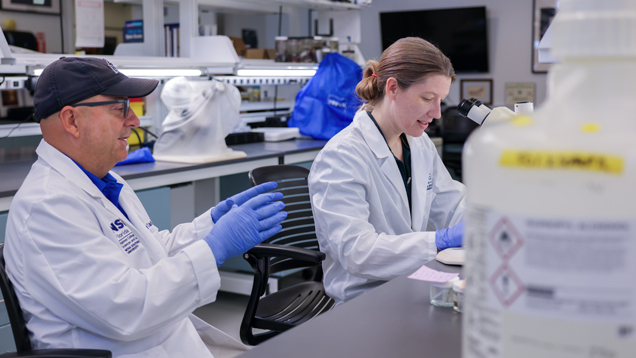 Ecology, Evolution and Environment Lab