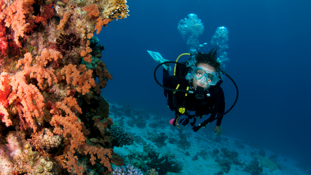 GIS and Spatial Ecology Laboratory