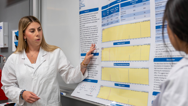 Students working on project presentation