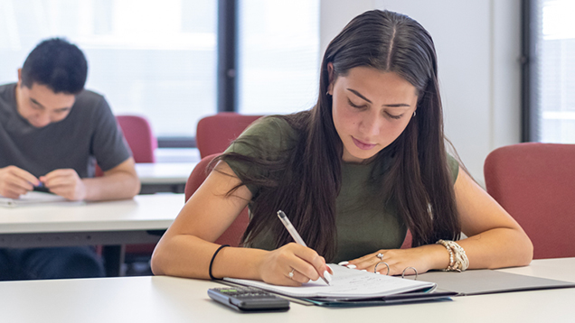Two students working in class