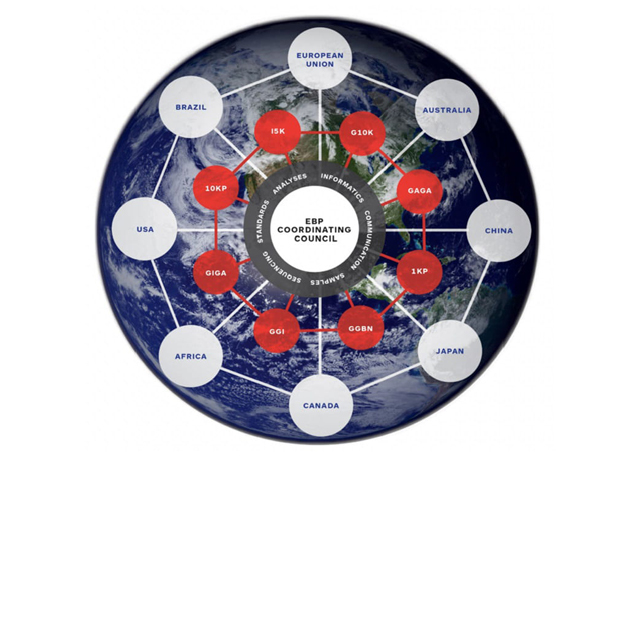 Illuminating earths biodiversity