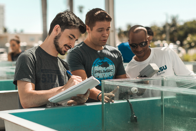 Marine Biology (B.S.)