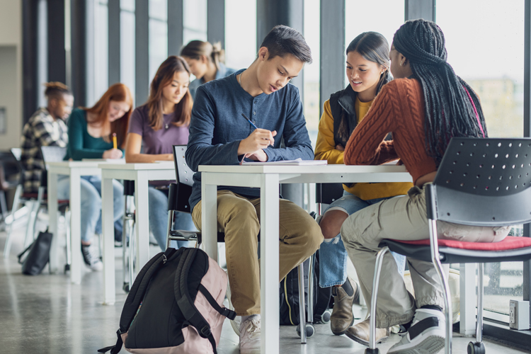 Group of students on studying launch