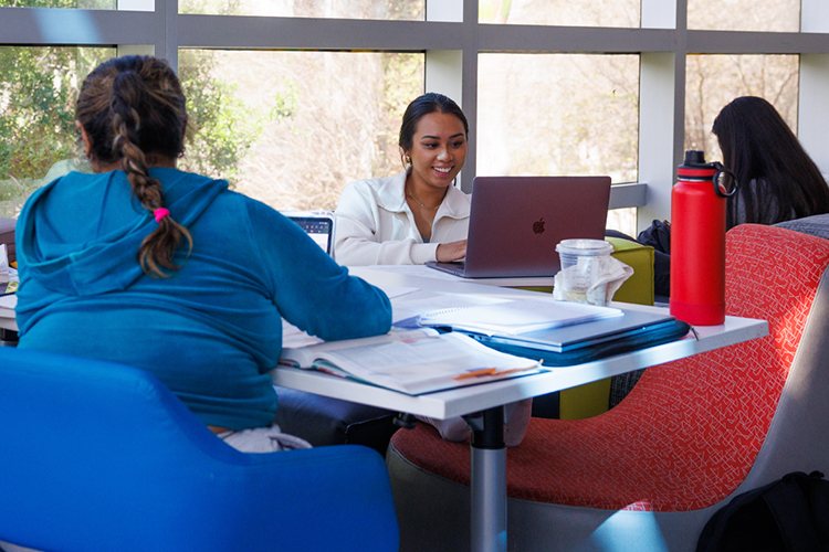 Group of students using their laptops