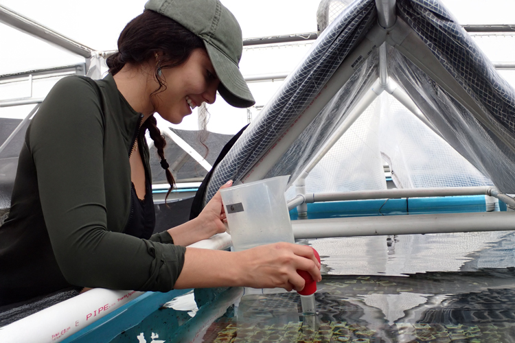 Oceanography/Marine Biology (Ph.D.)