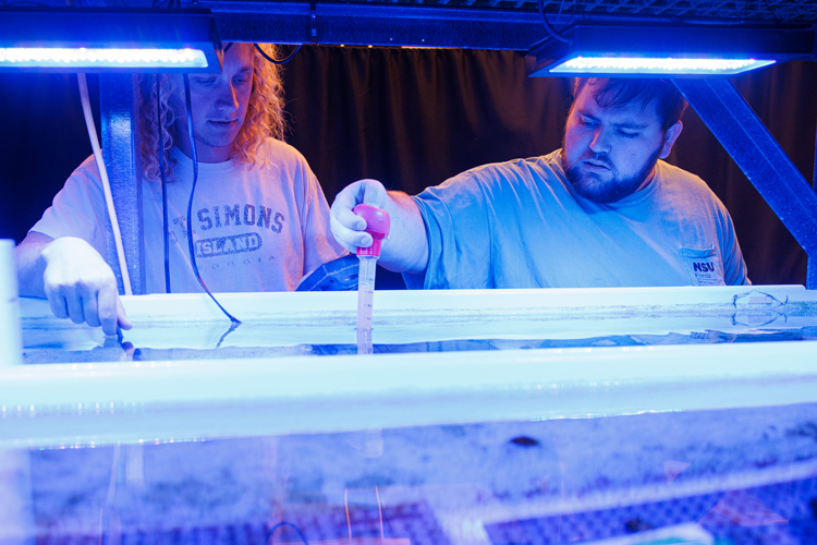 Marine larval researchers at lab tank