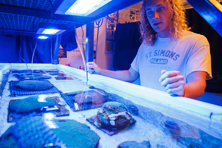 Researcher analyzing samples in a water tank