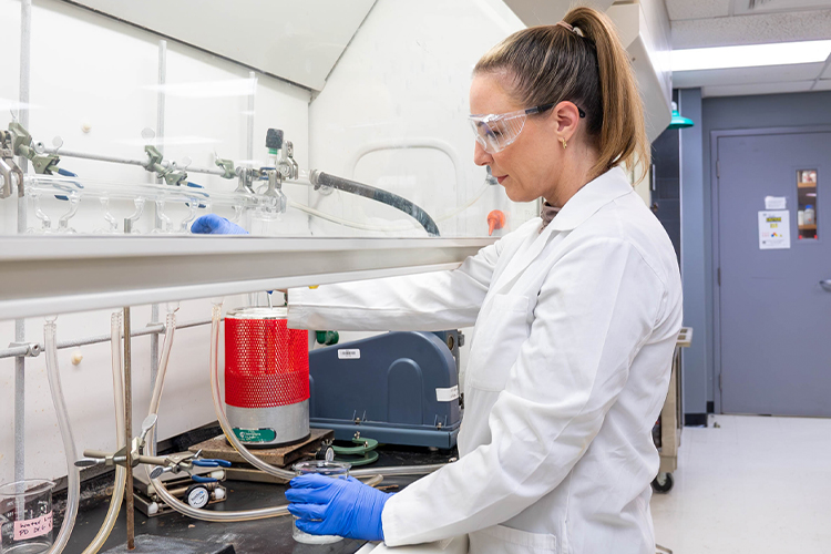 Scientist working in the lab