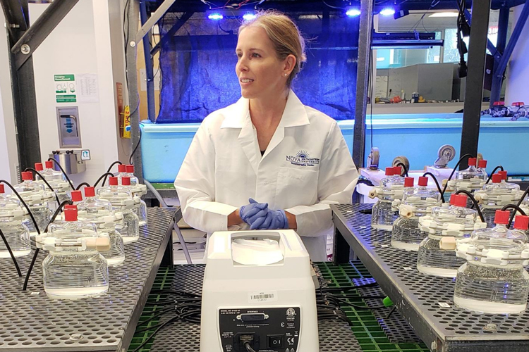 Scleractian coral biology with scientist Abigail