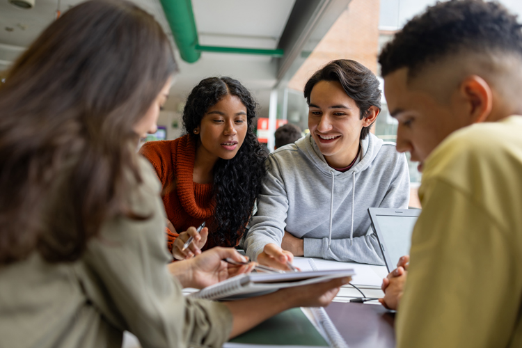 Students group studying together