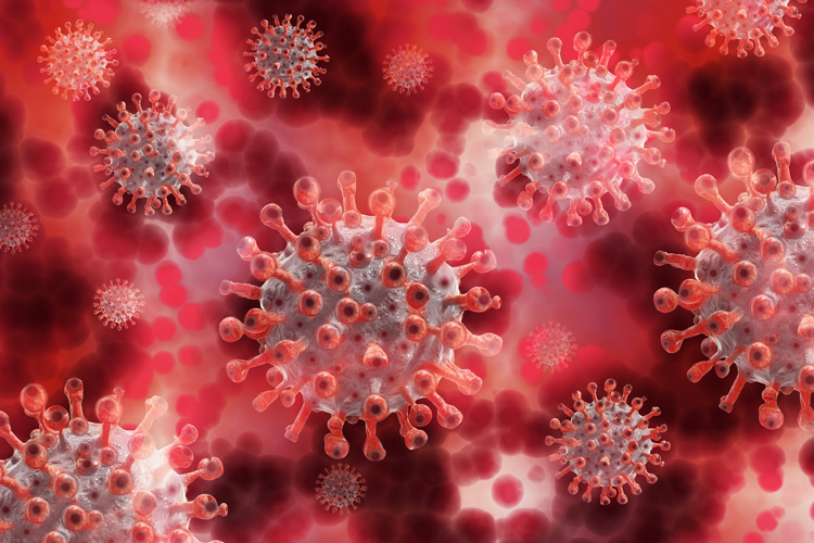 Covid-19 virus in a cellular environment