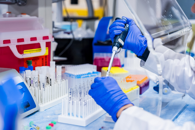 Hands working at lab