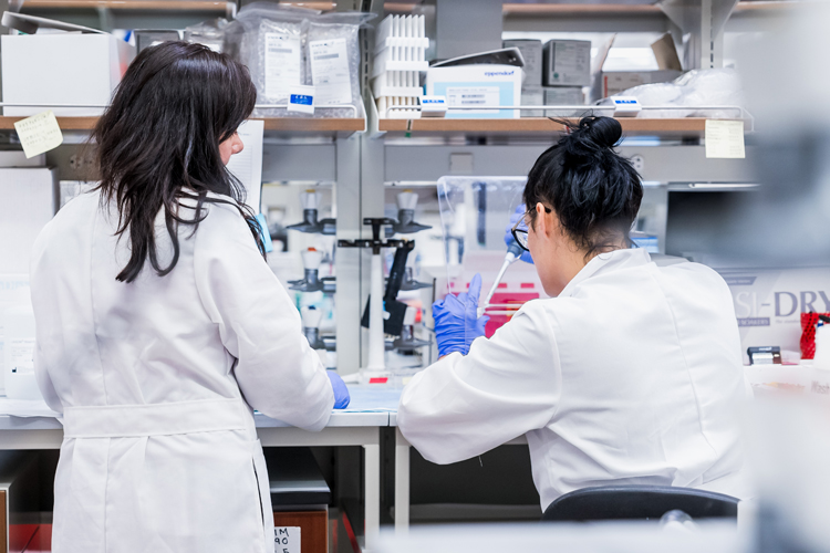 Two people working on the lab