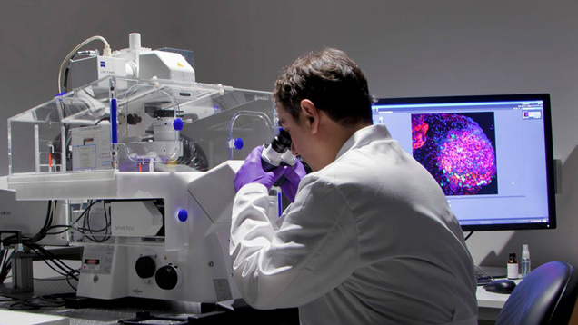MD student in the lab doing research