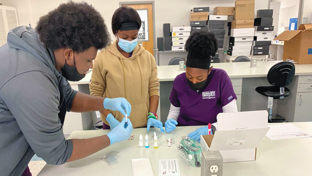 lab