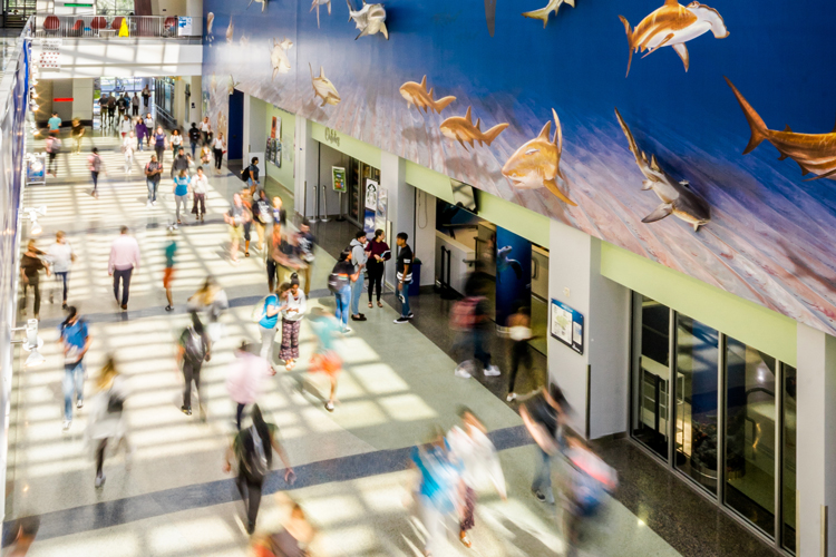 Student walking in campus hallway with motion image effect