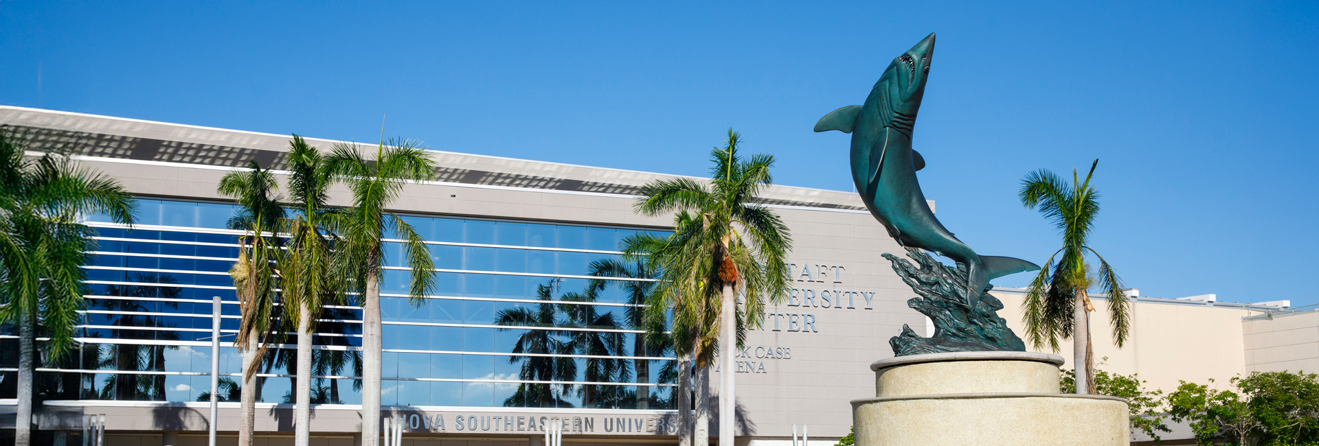Shark fountain in front o Rick Case Arena