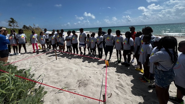 Group of people at beach activity