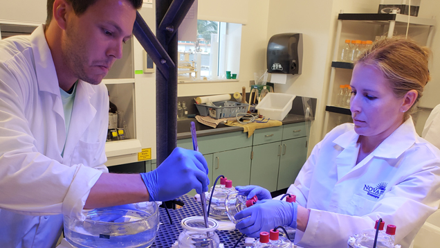 Coral reef scientists working on lab
