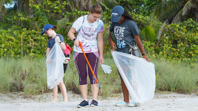 Group of people cleaning up the beach