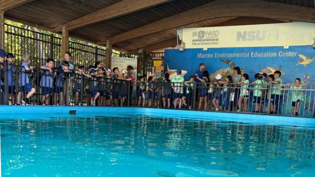 kids looking at Carpenter House turtles