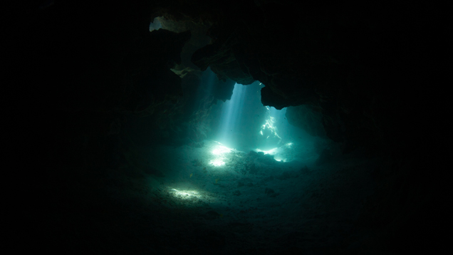 Mesopelagic deep sea rays reach dimly