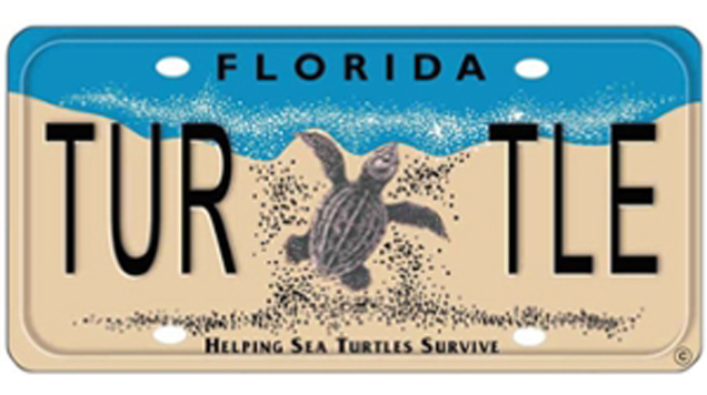 Sea turtle license plate