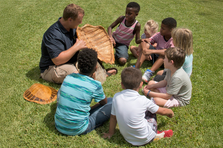 Carpenter house professional teaching kids about turtles bones anatomy
