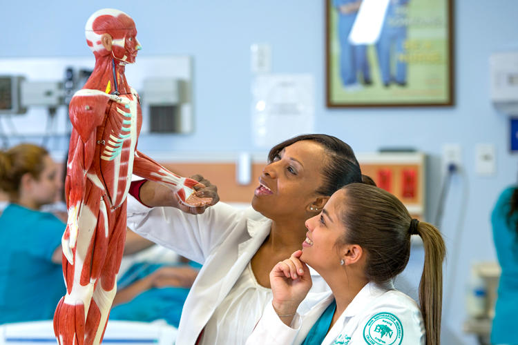 Professor demonstrating to student human anatomy using prototype