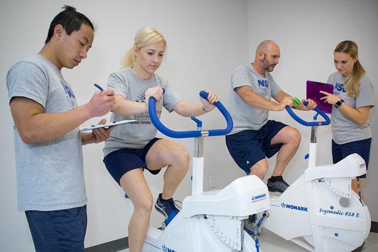 Two physical therapists observing their patients on exercise bikes