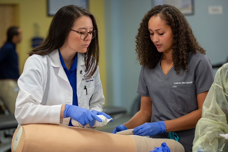 Two physical therapists working together